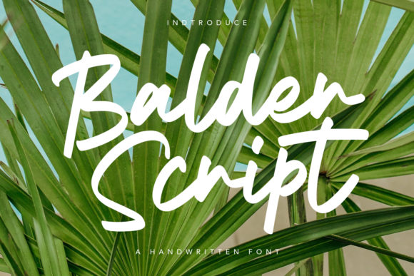 Balder Script: A Web Designer’s Review of This Brush Typeface