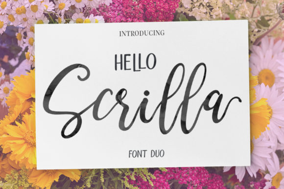 Hello Scrilla Script Font: A Modern Duo for Branding