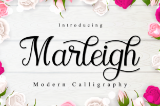 Marleigh: A Friendly Script Font for Campaigns