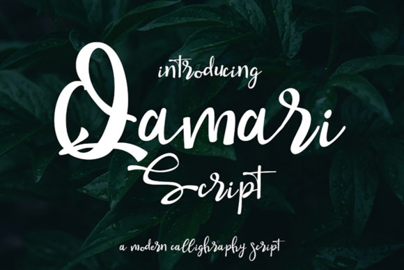 Qamari Script: A Premium Typeface for Web Design