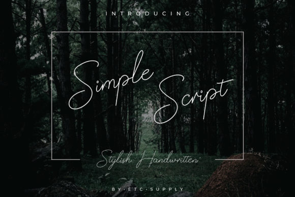 Simple Script: The Elegant Font for Campaigns
